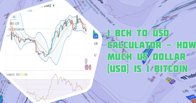 Bitcoin cash price usd