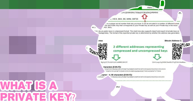 Bitcoin key