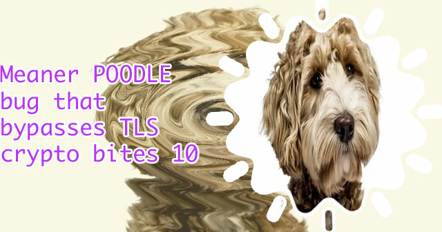 Poodle crypto